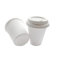Biodegradable / sugarcane cup from disposablesInc.com. The best import service in China. Import your disposable items and products from us.
